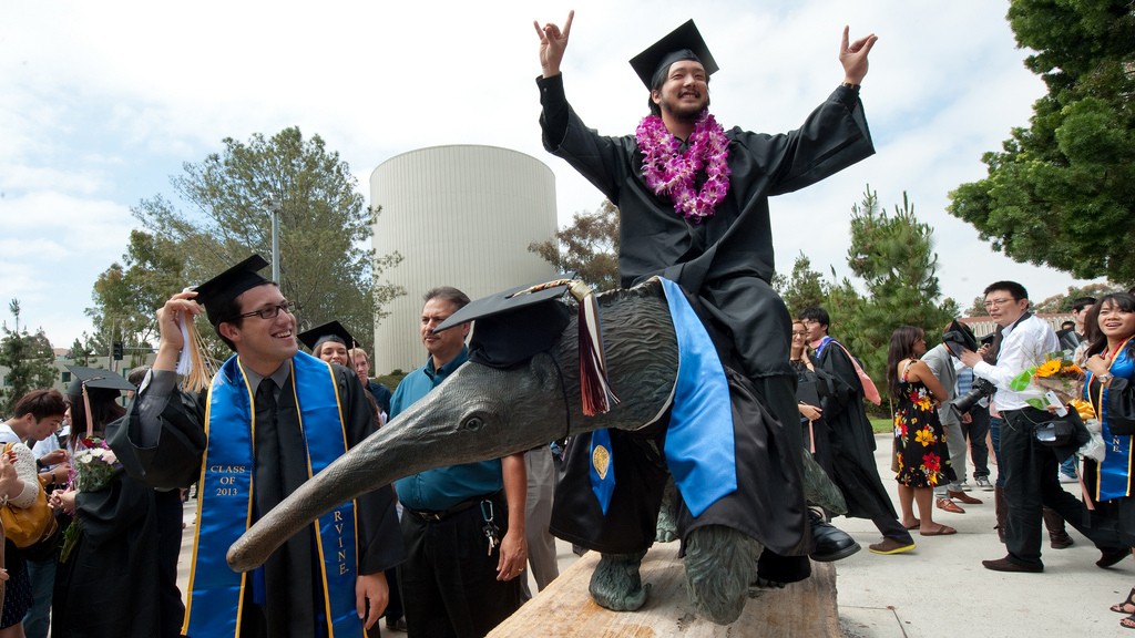 grad-on-anteater